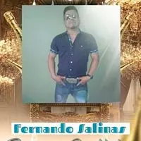 Fernando Salinas facebook profile