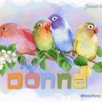 Donna Foltz facebook profile