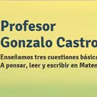 Gonzalo Castro facebook profile