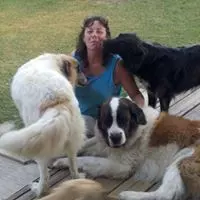 Gail Hammond (Southern Charmers Animal Rescue) facebook profile
