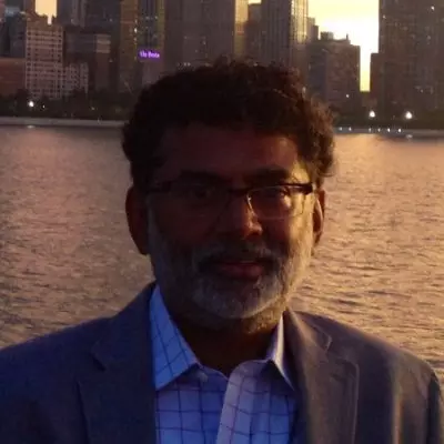 Rajesh Krishnan, Chicago