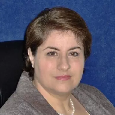 Lisa Ann Scopel-MBA Accounting, St. Petersburg