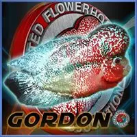 Gordon Buck facebook profile