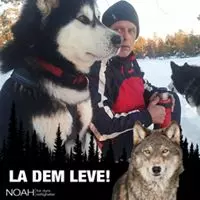 Karl Erik Nessjø facebook profile