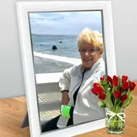 Phyllis A Schroeder facebook profile