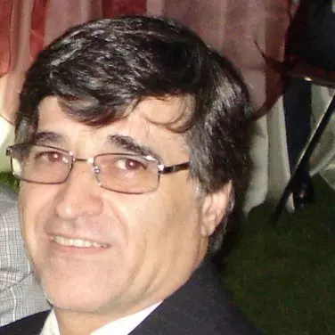 Ali Shenasa